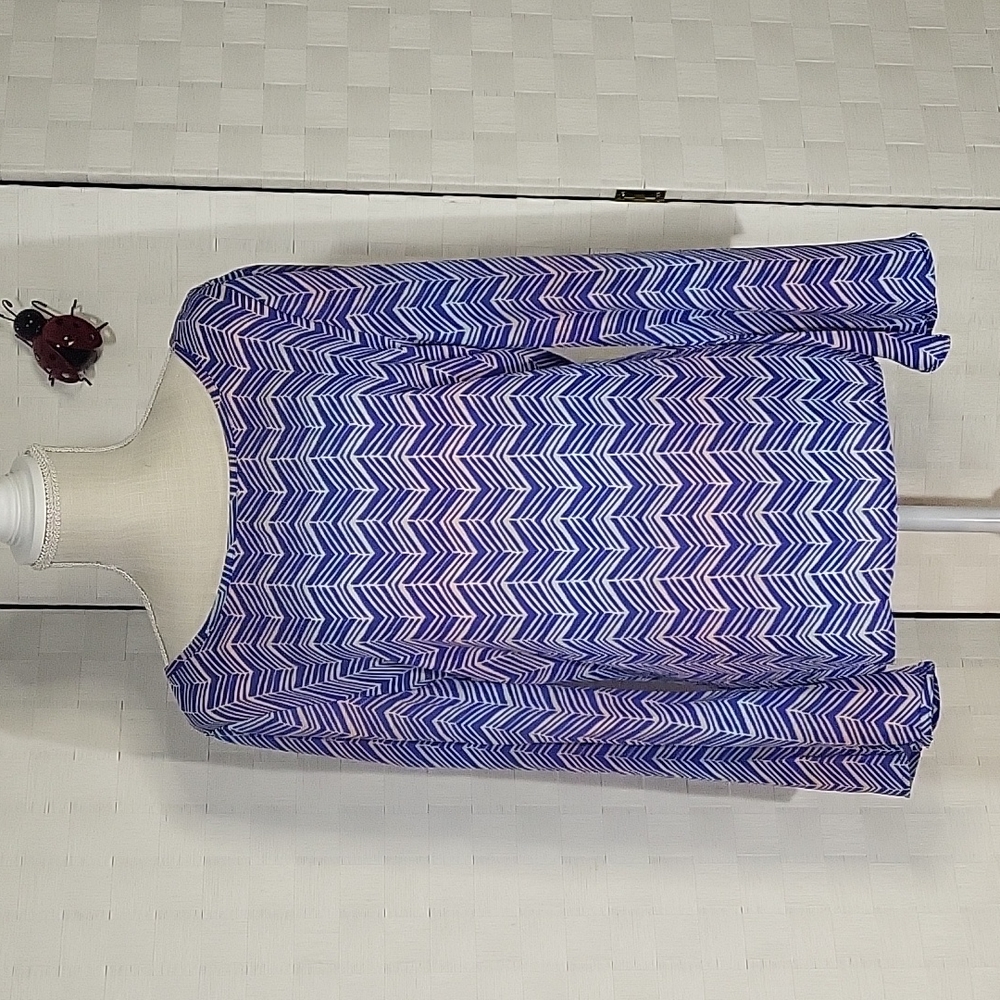 Blouse (New) Size Medium- Wishful Park Blue/White Chevron Top